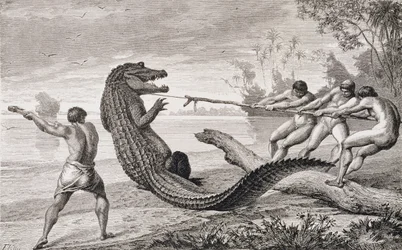 Einen Alligator mit dem Lasso fangen, aus 